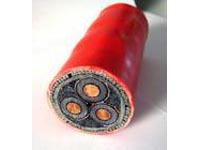 定子繞組絕緣和水輪發(fā)電機(jī)電暈保護(hù)系統(tǒng)的應(yīng)用_no.334